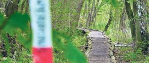 Durch das Waldgebiet zwischen Storkow und Wendisch Rietz führt der sogenannte Knüppelweg. Wenige hundert Meter entfernt davon wurde der Berliner Investmentmanager gefangen gehalten.