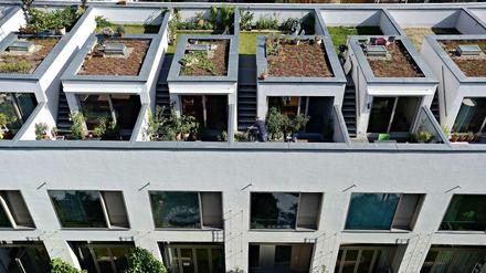 „Für mehr Licht mussten wir die Distanz zum Himmel verkürzen“, sagt Architekt Zander.