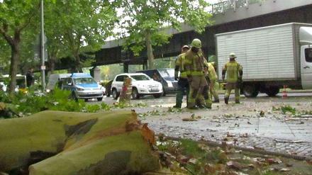 Die Feuerwehr musste den Baum zerlegen, um ihn abzutransportieren.