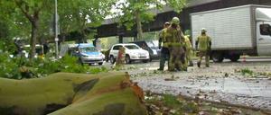 Die Feuerwehr musste den Baum zerlegen, um ihn abzutransportieren.