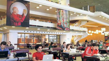 Nachwuchswissenschaftler sitzen in einer Bibliothek an ihren Laptops.