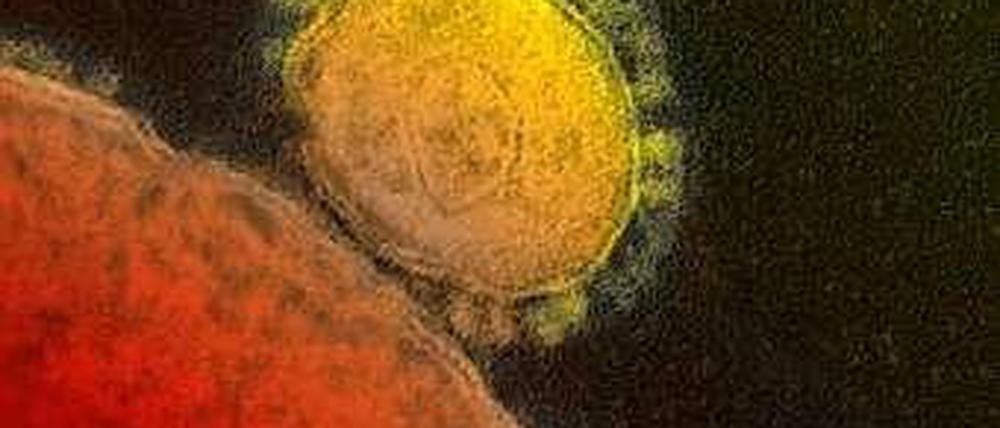 Mers-Virus