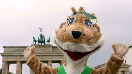 Herthinho? Goleo? Nee, Fridolin. Marathon-Plüsch-Wiesel.