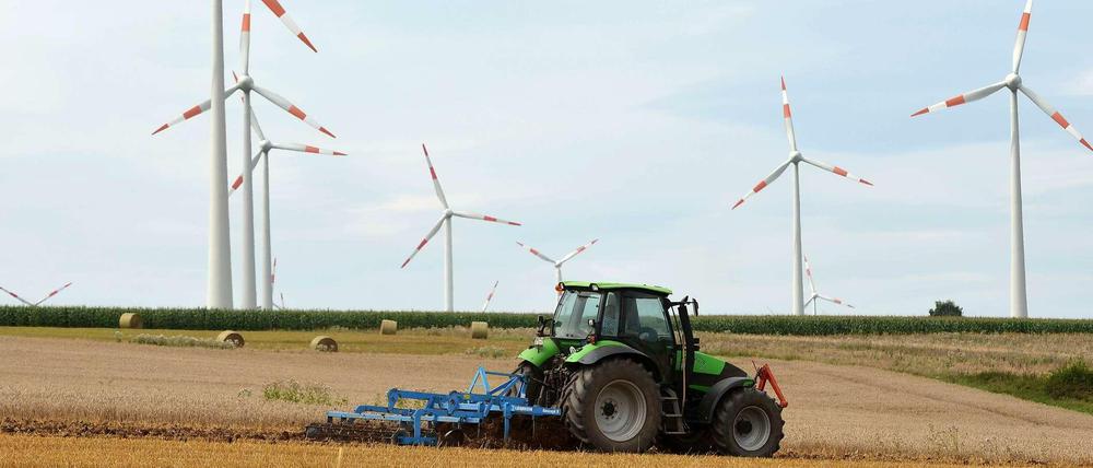 Windräder im Berliner Umland sollen den Öko-Strom für das geplante Stadtwerk liefern.