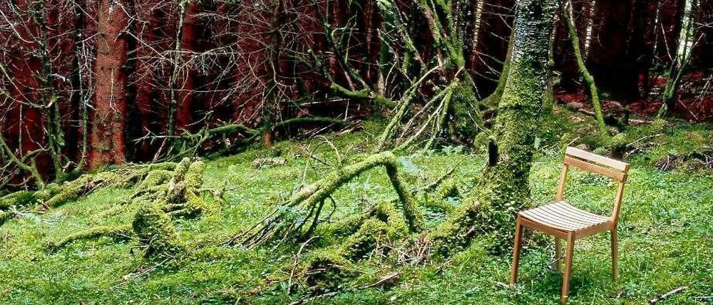 Natürlich aus Holz. Bei der Möbelserie "Split" hat Jasiewicz Kantholz angeschnitten und von Hand gebogen.