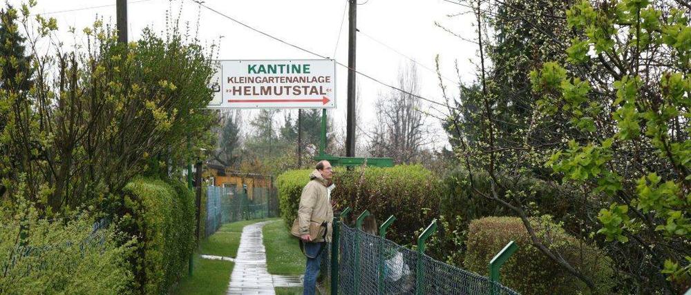 Auch die Kleingartenkolonie Helmutstal in der Dieselstraße soll der Verlängerung der A 100 weichen.