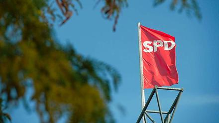 Wenn es in der Politik kniffelig wird, muss mitunter die Basis ran. Viele Sozialdemokraten fordern einen Mitgliederentscheid zu der schwierigen Frage, ob die SPD in eine neue Koalition mit der Union eintreten soll - und der wird immer wahrscheinlicher. 