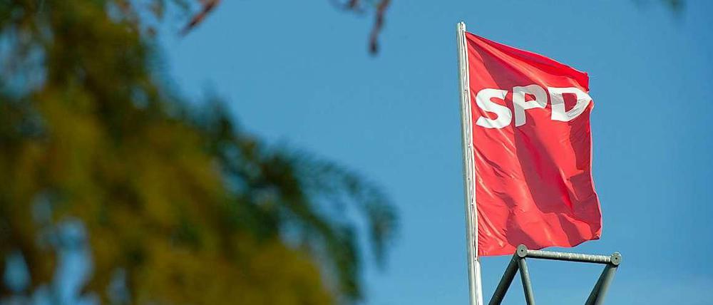 Wenn es in der Politik kniffelig wird, muss mitunter die Basis ran. Viele Sozialdemokraten fordern einen Mitgliederentscheid zu der schwierigen Frage, ob die SPD in eine neue Koalition mit der Union eintreten soll - und der wird immer wahrscheinlicher. 