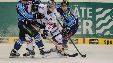 Zurückgehalten: Der Saisonauftakt ist bei den Eisbären bisher nicht erfolgt.