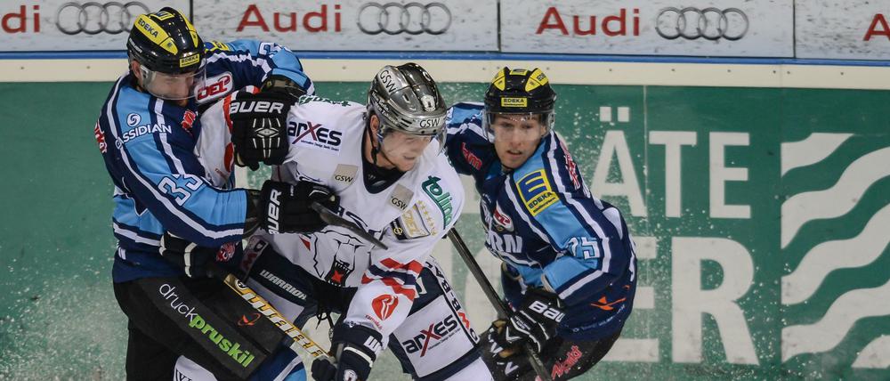 Zurückgehalten: Der Saisonauftakt ist bei den Eisbären bisher nicht erfolgt.