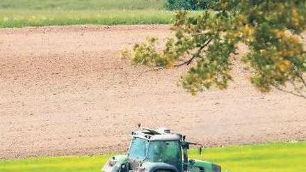 Bei der Ernte. Einzelne Bauern haben es nicht leicht, in Brandenburg überwiegen große Agrarbetriebe. 