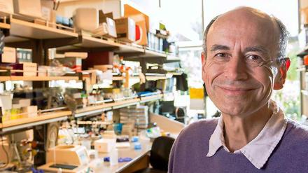 Der Medizinnobelpreisträger Thomas Südhof an seinem Arbeitsplatz, der Stanford-Universität. Südhof ist gebürtiger Deutscher mit amerikanischem Pass. Er lebt seit den 80er Jahren in den USA.