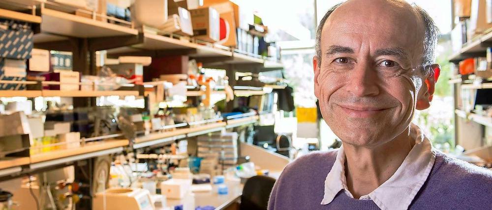 Der Medizinnobelpreisträger Thomas Südhof an seinem Arbeitsplatz, der Stanford-Universität. Südhof ist gebürtiger Deutscher mit amerikanischem Pass. Er lebt seit den 80er Jahren in den USA.