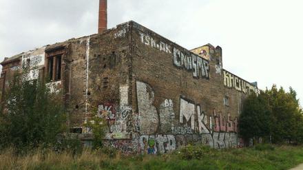 Die ehemalige Eisfabrik in Mitte ist mit Sicherheit eines der verkommensten und baufälligsten Gebäude der Stadt. 100 Meter neben dem Büropalast von Verdi steht die von Graffiti übersäte Fabrik direkt an der Spree.