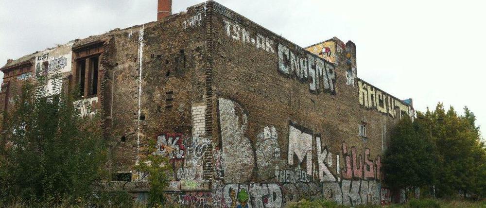 Die ehemalige Eisfabrik in Mitte ist mit Sicherheit eines der verkommensten und baufälligsten Gebäude der Stadt. 100 Meter neben dem Büropalast von Verdi steht die von Graffiti übersäte Fabrik direkt an der Spree. 