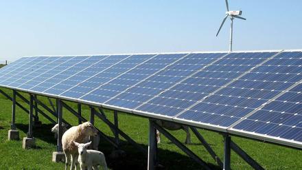 Aus der Ökostromumlage werden auch Solaranlagen und Windräder finanziert. Doch gut die Hälfte der Einnahmen aus der Umlage haben andere Zwecke: zum Beispiel den Ausgleich niedriger Börsenpreise und fester Einspeisepreise, oder Industrieprivilegien. 