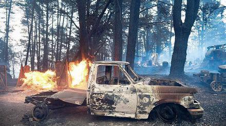 Das Feuer frisst sich durch die Wälder. 