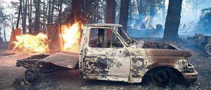 Das Feuer frisst sich durch die Wälder. 