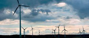 Morgengrauen? Dämmerung? Die nächsten vier Jahre sind für die Energiewende entscheidend.