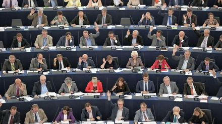 Entscheidung in Straßburg. Das Europaparlament will die Zahlungsfähigkeit der EU-Kommission sichern.