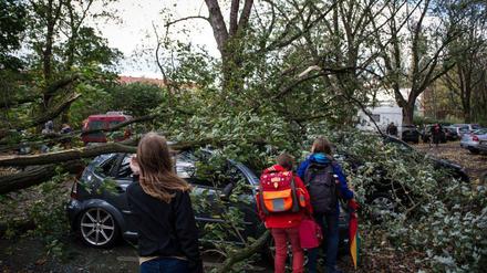 Ein umgestürzter Baum auf einer Straße in Hamburg.