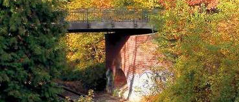 Ins Jenseits. Über diese Brücke geht es zum 1892 angelegten "Begräbnisplatz der Gemeinde Grunewald". Mit dem stillgelegten Gleis darunter hat es seine besondere Bewandtnis. 