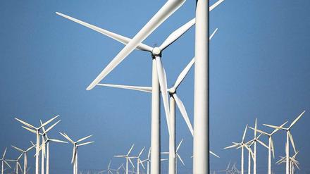 Reizthema Windkraft. Was den Umweltjournalismus auszeichnet, ist dieses Nachprüfen: Was hat sich geändert, hat die Politik reagiert, gibt es neue Erkenntnisse? 