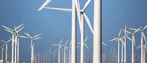 Reizthema Windkraft. Was den Umweltjournalismus auszeichnet, ist dieses Nachprüfen: Was hat sich geändert, hat die Politik reagiert, gibt es neue Erkenntnisse? 