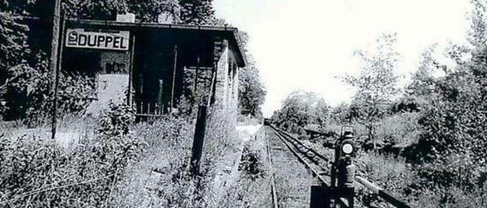 Ach herrje, ist das viele Jahre her. Am alten S-Bahnhof Düppel hält schon lange keine Bahn mehr.