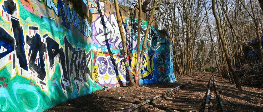 Spaziergang auf der alten Stammbahntrasse in Zehlendorf, hier am Hegauer Weg. Die Bahnstrecke führte einst vom Berliner zum Potsdamer Hauptbahnhof über Zehlendorf. Seit 1945 ist sie außer Betrieb. Stillgelegte Teile davon lassen sich zu Fuß ablaufen.