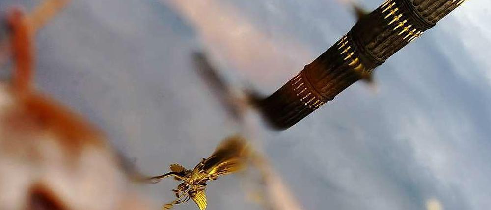 Die Siegessäule spiegelt sich in einer Pfütze mit Herbstlaub