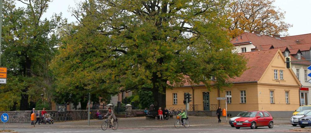 Blick auf den historischen Winkel, im Vordergrund die Friedenseiche, links von den Ästen verdeckt die alte Dorfkirche samt Friedhof und rechts das Zehlendorfer Heimatmuseum.