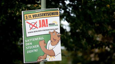 Der "Berliner Energietisch" will ein landeseigenes Stadtwerk mit landeseigenem Stromnetz. Am Sonntag stimmen die Bürgerinnen und Bürger darüber ab.