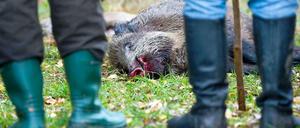 Jäger mit erlegtem Wildschwein