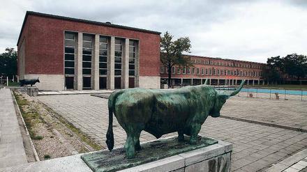 Jede Menge Platz. Das Deutsche Sportforum ist ein Gebäudeensemble von den Ausmaßen eines Schlosses. 2015 wollen die Elite-Sportschüler der Poelchau-Oberschule in einen Teil der Räume einziehen.