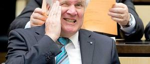 Horst Seehofer im Bundesrat.