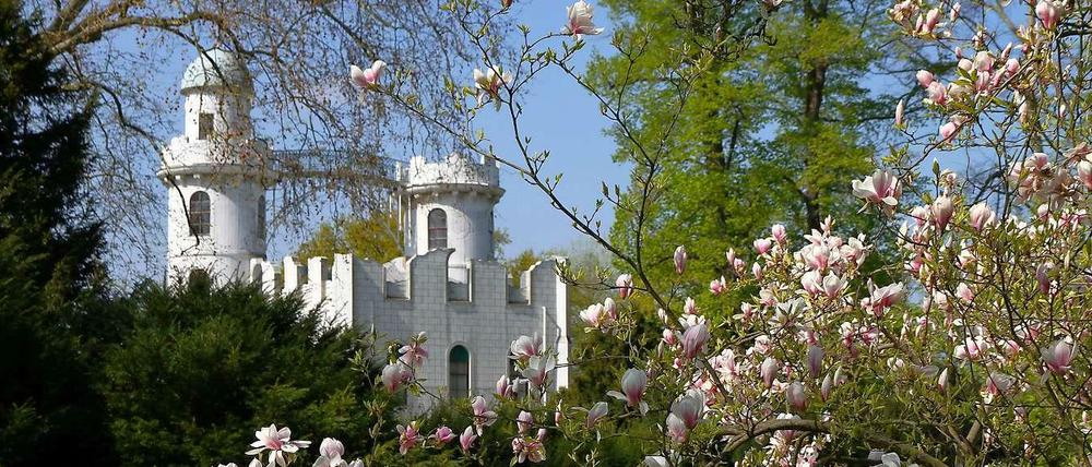 Schön hier auf der Pfaueninsel! Auch wenn sie nicht in Brandenburg liegt, aber immerhin fast.