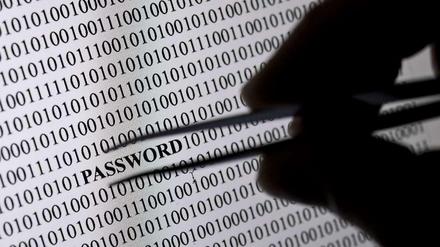 Cyberkriminalität: Die Herbsttagung des Bundeskriminalamtes beschäftigte sich am Dienstag schwerpunktmäßig mit dem Thema Internetkriminalität.