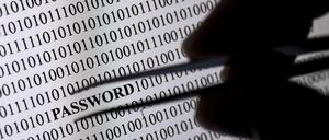 Cyberkriminalität: Die Herbsttagung des Bundeskriminalamtes beschäftigte sich am Dienstag schwerpunktmäßig mit dem Thema Internetkriminalität.