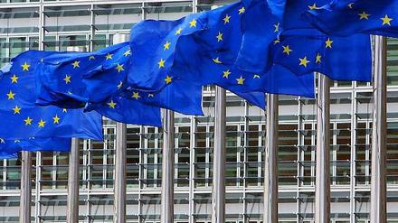 Die EU soll Macht abgeben - dieser Ansicht ist laut einer Umfrage eine Mehrheit unter Arbeitern in Deutschland und unter Anhängern der Front National in Frankreich.