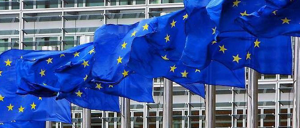 Die EU soll Macht abgeben - dieser Ansicht ist laut einer Umfrage eine Mehrheit unter Arbeitern in Deutschland und unter Anhängern der Front National in Frankreich.