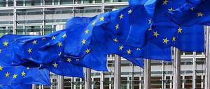 Die EU soll Macht abgeben - dieser Ansicht ist laut einer Umfrage eine Mehrheit unter Arbeitern in Deutschland und unter Anhängern der Front National in Frankreich.