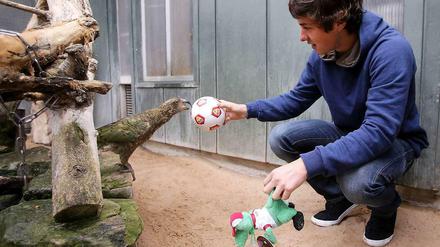 Zwei Neuseeländer unter sich: VfB-Spieler Marco Rojas (r.) und dieser Kea (eine neuseeländische Papageien-Art) spielen im Stuttgarter Zoo.