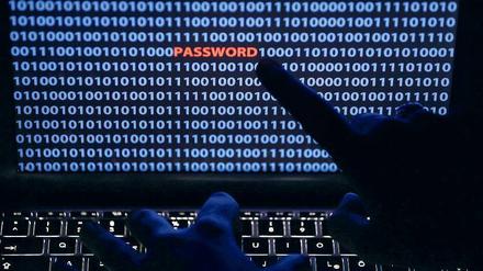 Ungleicher Kampf. Deutschlands Strafverfolgungsbehörden haben beim Einsatz gegen Kriminelle im Internet häufig das Nachsehen. 