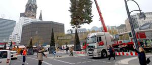 Da isser! Und sieht nich' übel aus. 