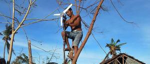 Auf der Ferieninsel Bantayan versuchen Überlebende mit einem Deckenventilator an einem Baum Strom zu erzeugen. So hoffen sie ihre Mobiltelefone aufladen zu können, um zumindest wieder mit ihren Familien auf anderen Inseln in Kontakt zu kommen. Die Lage ist verzweifelt. Die Insel war tagelang komplett von der Außenwelt abgeschnitten.  