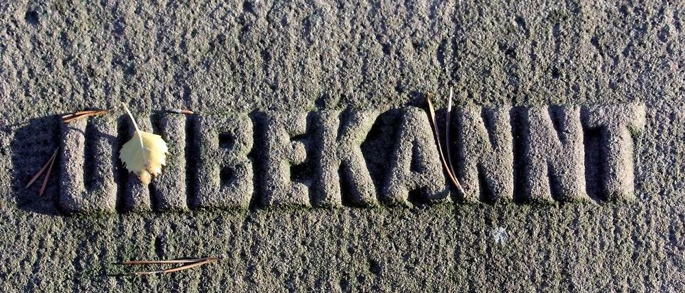 Ein Stein, ein Wort. Der Friedhof in Halbe in Brandenburg.