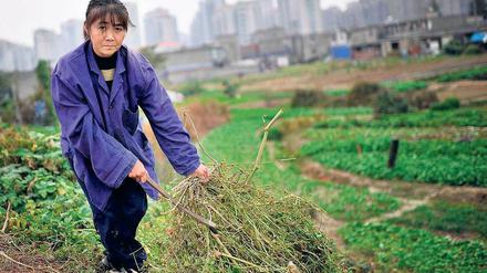 Boden als Ware? Ob Bauern künftig auch Land verkaufen dürfen, ist noch offen. Foto: Reuters