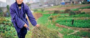 Boden als Ware? Ob Bauern künftig auch Land verkaufen dürfen, ist noch offen. Foto: Reuters