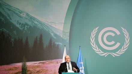 Bundesumweltminister Peter Altmaier in Warschau.